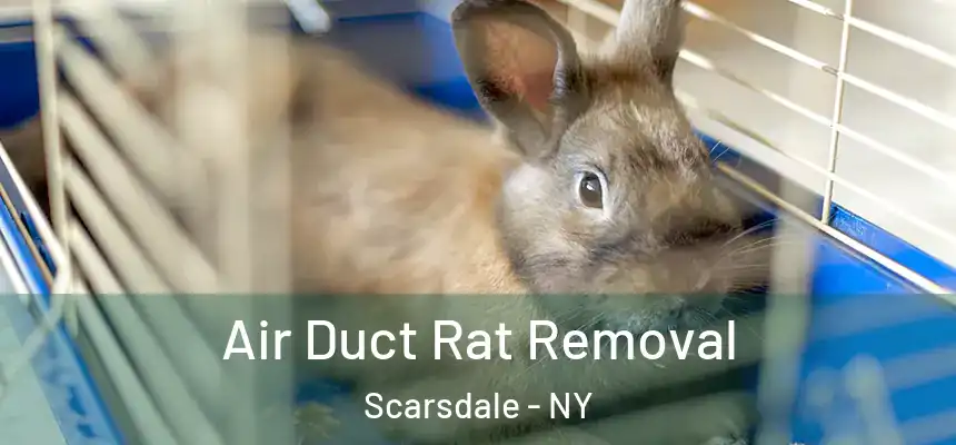  Air Duct Rat Removal Scarsdale - NY