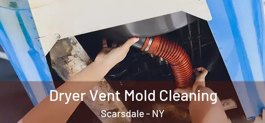  Dryer Vent Mold Cleaning Scarsdale - NY
