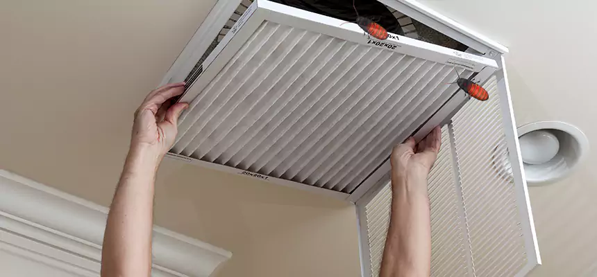 Preventive Cockroach-Proofing for Ducts in Scarsdale