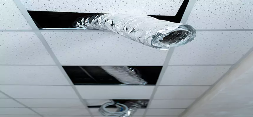 Affordable HVAC Sanitizing After Pest Removal in Scarsdale