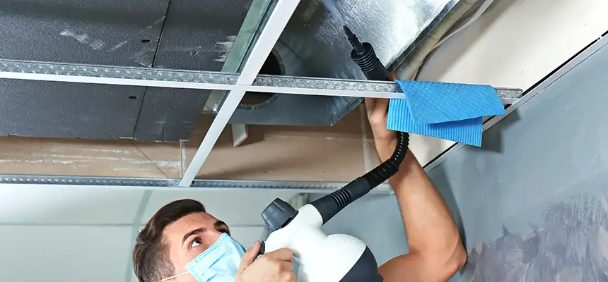 Our Air Duct Rodent Removal Services in Scarsdale, NY