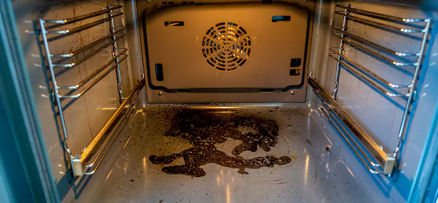 Our Dryer Vent Mold Cleaning Services in Scarsdale, NY