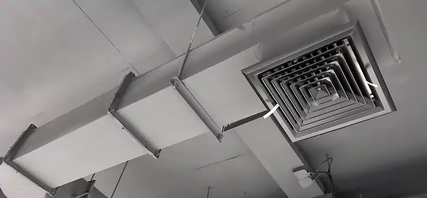 Our Pest Removal From Ducts Services in Scarsdale, NY