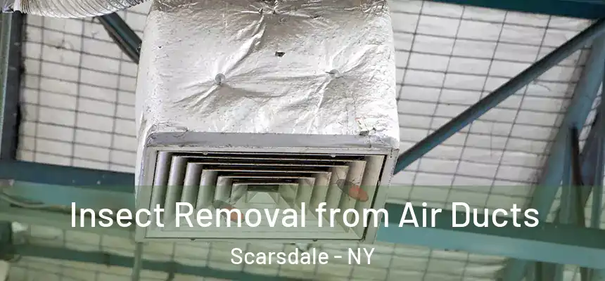  Insect Removal from Air Ducts Scarsdale - NY