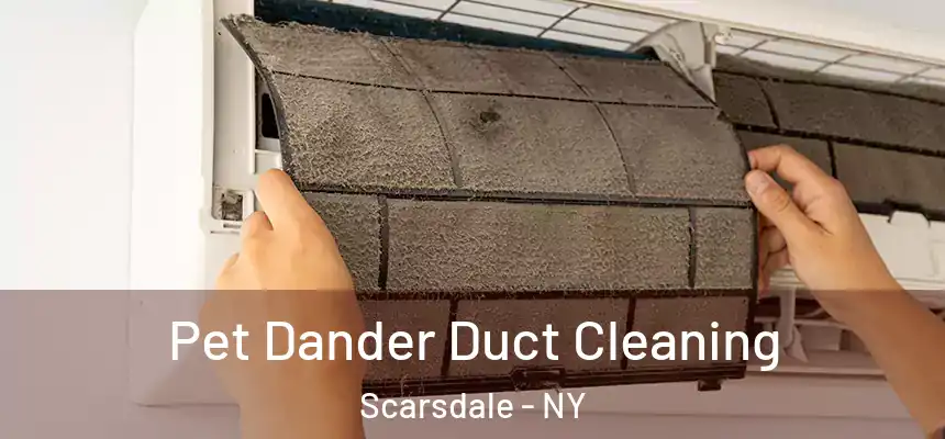  Pet Dander Duct Cleaning Scarsdale - NY